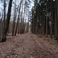 Photo taken at Babický les by Jenda on 12/25/2023
