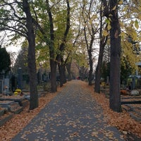 Photo taken at Vinohrady Cemetery by Jenda on 11/11/2018