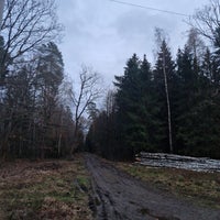 Photo taken at Babický les by Jenda on 12/25/2023