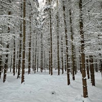 Photo taken at Babický les by Jenda on 12/3/2023