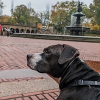 Photo taken at Bethesda Terrace by Cesar R. on 10/30/2023