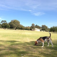 Riverside Gardens Dog Run In Bayswater