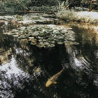 6/29/2019にGökhan T.がEdward Whittall Gardenで撮った写真