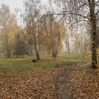 Photo taken at Фізичний факультет КНУ ім. Т. Шевченка by Andri D. on 11/9/2019