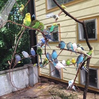 Photo taken at Parakeet Aviary by Fanny L. on 8/13/2014