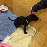 Photos At Feeders Supply Pet Store In East Louisville