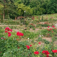 東沢バラ公園 1 Tip From 308 Visitors