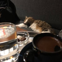 11/20/2021 tarihinde CagatayCziyaretçi tarafından Mars Espresso Cafe'de çekilen fotoğraf