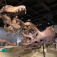 Naturhistoriska riksmuseet - Museum in Stockholm