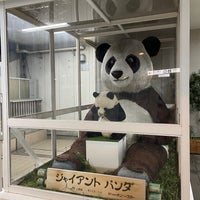 Photo taken at Giant panda by Takagi K. on 7/9/2023