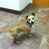 Creature Comforts Veterinary Hospital 3 Tips From 131 Visitors