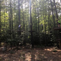 Go Ape Zipline Treetop Adventure Williamsburg Va Go Ape Zipline Treetop Adventure Williamsburg Va