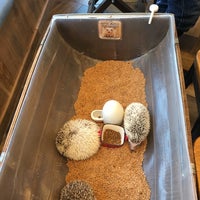Photo taken at Harry Hedgehog Cafe by Sana S. on 5/5/2019