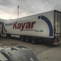 korezin big dildo porn