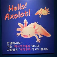 Photo taken at COEX Aquarium by Chris Chanwoo C. on 1/13/2024