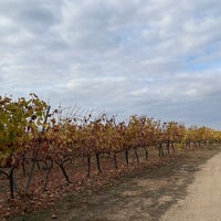 Foto tirada no(a) Arcadia Vineyards por Turan B. em 11/14/2022