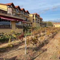 Foto tirada no(a) Vino Dessera Vineyards por Turan B. em 11/14/2022