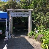 志戸子ガジュマル公園 屋久島町志戸子