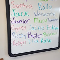 Vca bayshore hotsell animal hospital