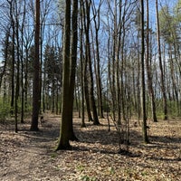 Photo taken at Klánovický les by Marek H. on 4/6/2024
