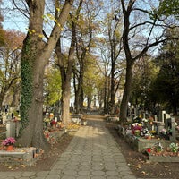 Photo taken at Hřbitov Třeboradice by Marek H. on 10/29/2022