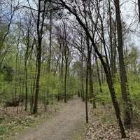 Photo taken at Klánovický les by Marek H. on 4/5/2024