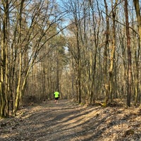 Photo taken at Lávky Trail by Marek H. on 3/9/2024