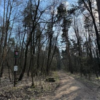 Photo taken at Klánovický les by Marek H. on 3/17/2024