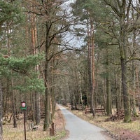 Photo taken at Klánovický les by Marek H. on 3/16/2024