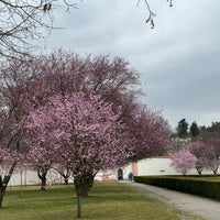 Photo taken at Trojská zámecká zahrada by Marek H. on 3/14/2024