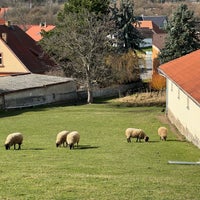 Photo taken at Točná by Marek H. on 3/11/2024