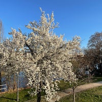 Photo taken at Klárov by Marek H. on 4/4/2021