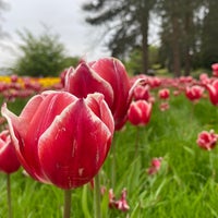 Photo taken at RHS Garden Wisley by Paul M. on 4/30/2023