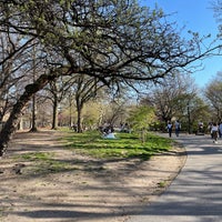 Photo taken at McCarren Park by Lucy T. on 4/14/2024