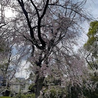 Photo taken at Chidorigafuchi Ryokudo by Mimura S. on 4/11/2024