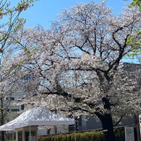 Photo taken at Hitomi Memorial Hall by Mimura S. on 4/10/2024