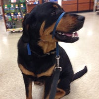 petsmart banfield mcknight road