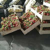 uzmanlar organik tarim urunleri hal no 417 kocatepe 1 tavsiye