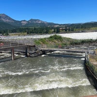 Photo taken at Bonneville Lock &amp;amp; Dam by Ricki H. on 6/24/2022