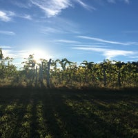 Foto tirada no(a) Black Birch Winery por Adam L. em 9/11/2016