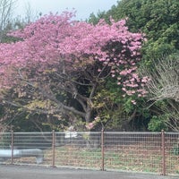 Photo taken at Izu-Kogen Station by Hamusuke on 2/17/2024