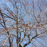 国際日本文化研究センター University