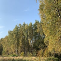 Photo taken at Алёшкинский лесопарк by imnts on 9/27/2020