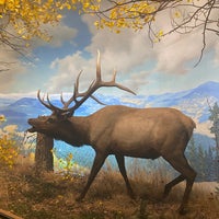 Das Foto wurde bei Denver Museum of Nature and Science von Ale-Luz M. am 10/18/2023 aufgenommen