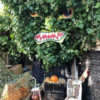 10/31/2019にNk M.がPiedmont Avenue Pumpkin Patch &amp;amp; Haunted Houseで撮った写真
