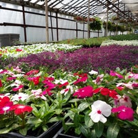 Photo taken at Langhorst Greenhouse by Chris A. on 5/4/2014