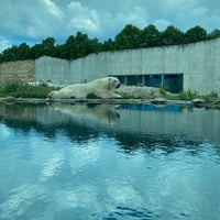 Photo taken at Tallinn Zoo by Nadja L. on 6/27/2023