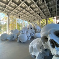 Photo taken at Fondation Cartier pour l&amp;#39;Art Contemporain by Martin J. on 9/24/2023