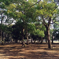 Photo taken at Yoyogi Park by Rino O. on 3/11/2016