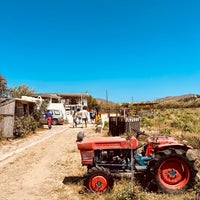 รูปภาพถ่ายที่ Mykonos Vioma Organic Farm &amp;amp; Vineyard โดย Ibrahim เมื่อ 5/11/2022